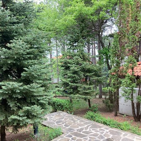 Lovely Apartment Santa Marina Sozopol Exteriör bild
