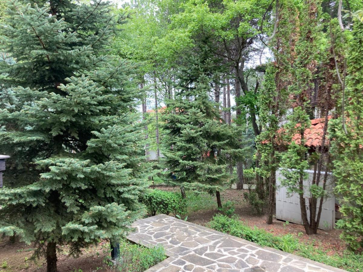 Lovely Apartment Santa Marina Sozopol Exteriör bild